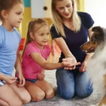 dogoterapia